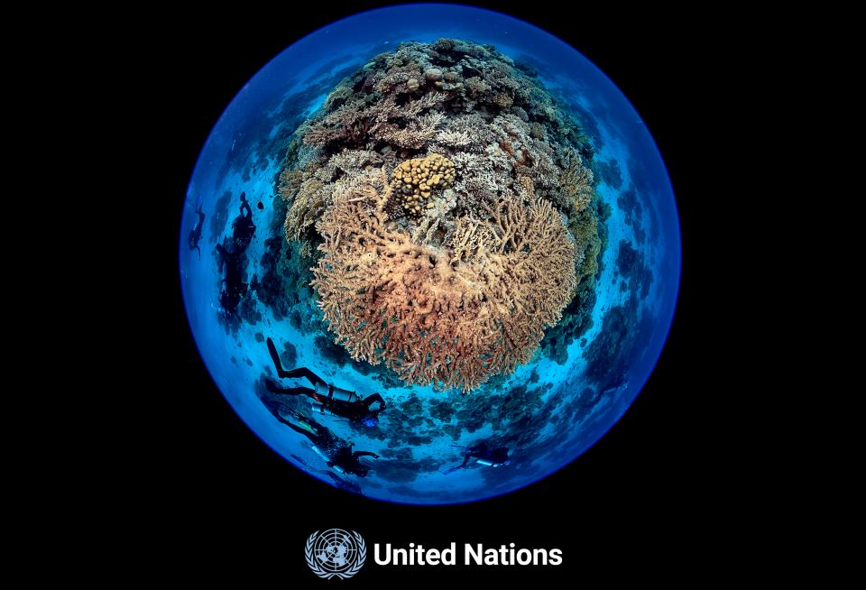 2º Relatório Integrado do Oceano | Nações Unidas (WOA II)