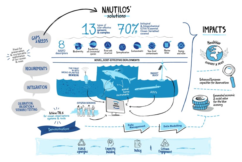 Infografia Nautilos pagina