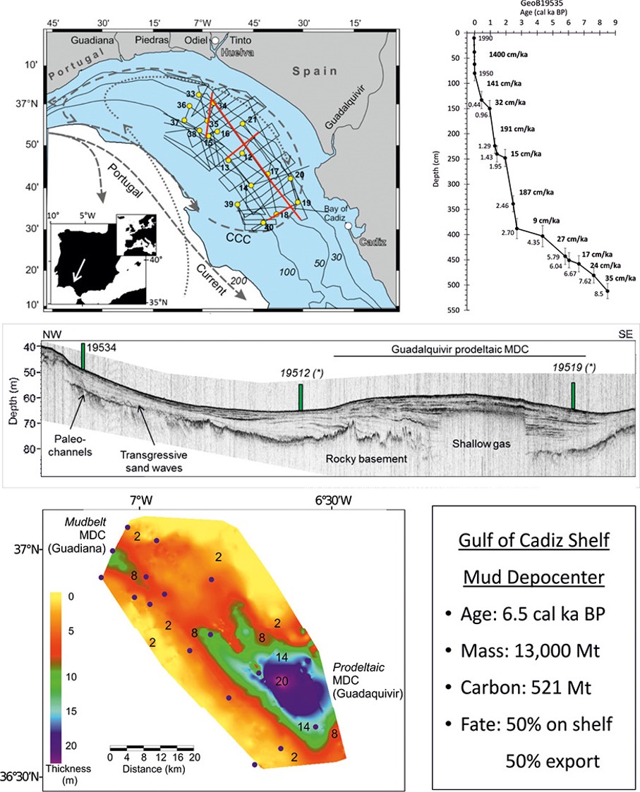 Formation history and material budget of holocene shelf mud depocenters in the Gulf of Cadiz