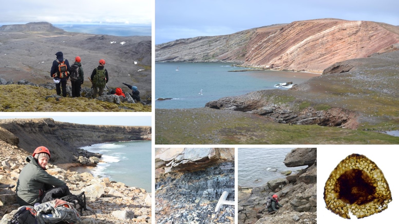 Palynostratigraphic reassessment of the Late Devonian of Bjørnøya, Svalbard