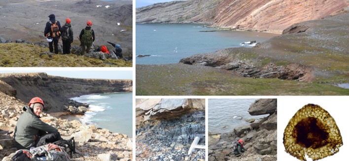 Palynostratigraphic reassessment of the Late Devonian of Bjørnøya, Svalbard