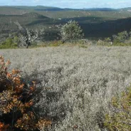Cima Geoparque Algarvensis - Paisagem