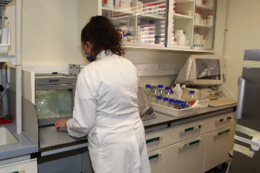 Laboratório Genómica Funcional