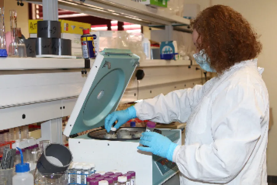 Laboratório de Geologia e Geoquímica