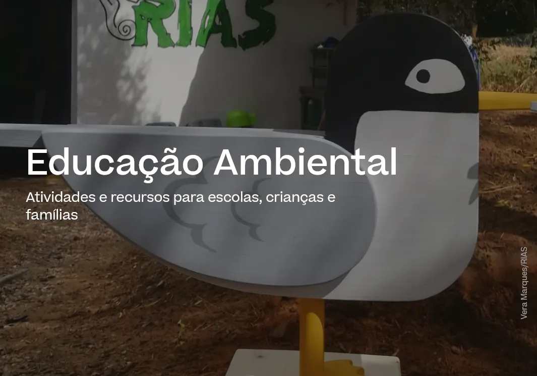 Educação Ambiental