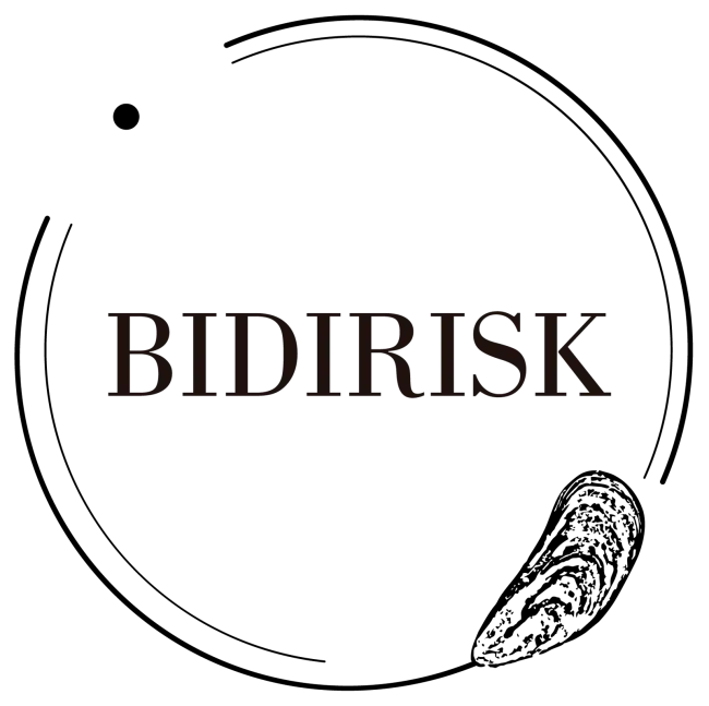 BiDiRisk