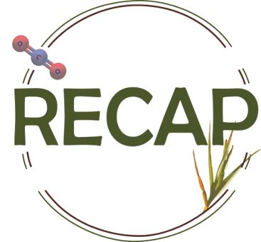 RECAP