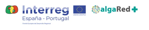 REVITALGARVE